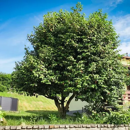 Gardenpark Soleil Holiday home